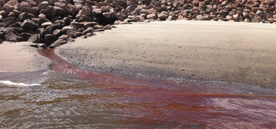 Le long d'une berge rocailleuse et de sable, l'eau est visiblement très rouge !